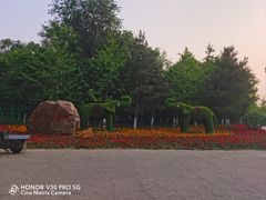 -长白岛森林公园