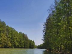 -上海海湾国家森林公园