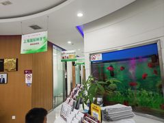 -雅悦齿科(顾村公园店)