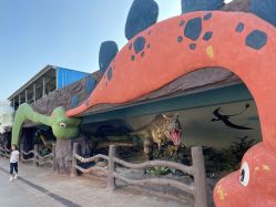 点击看大图 -宝燕乐园(闵行旗舰店)