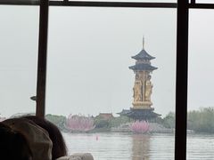 -溱湖国家湿地公园