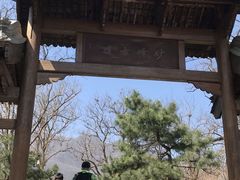 -阳台山自然风景区