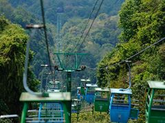 -野象谷景区
