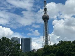 -文华公园(禅城区)