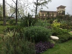 -府河摄影公园