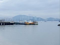 -火狼大盘鸡(团结东路店)