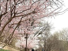 -元大都城垣遗址公园