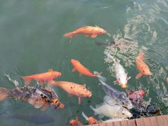 -云南民族大观园