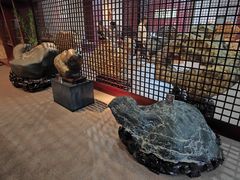 -烟台自然博物馆