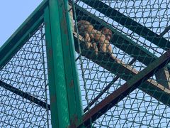 -宿豫区运河湾森林动物园