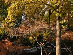 -无锡惠山寺