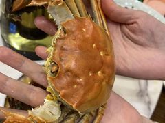 -品鲜村农家菜·阳澄湖大闸蟹(总店)