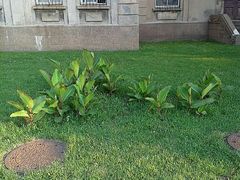 android_upload_pic-辽宁大学(崇山校区)