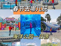 -海合安成都极地海洋公园