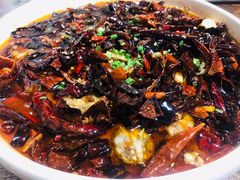 水煮美蛙-铁公鸡·四川料理(天环广场店)