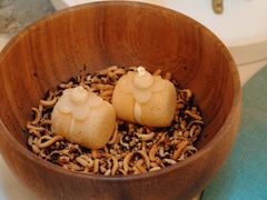 -新加坡文华东方酒店