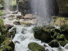 -鹿院坪生态旅游景区