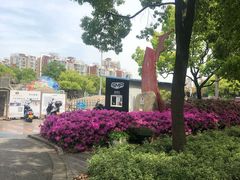 -SMP滑板公园
