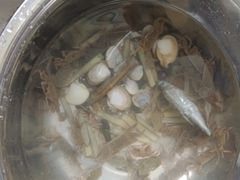 -刘家湾赶海园