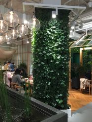 -悦诗风吟innisfree