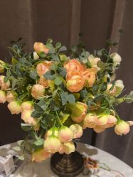 -唯伊美塑身美养连锁