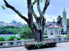 -南普陀寺