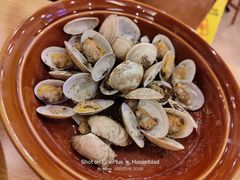 原味烤花蛤-萨莉亚意式餐厅(国展天虹店)