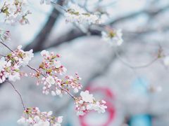 -上海鲁迅公园
