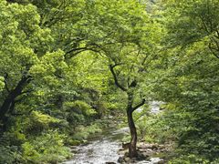 -雁荡山风景名胜区