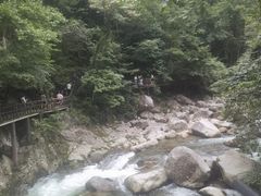 -炎陵县神农谷国家森林公园