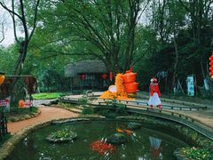 -天目湖山水园