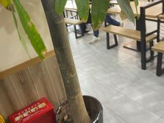 大堂-姑苏鸿昌兴大食堂(中山北路店)
