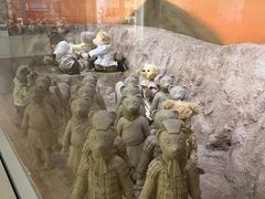 -济州岛泰迪熊博物馆