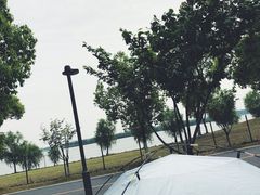 -漕湖湿地公园