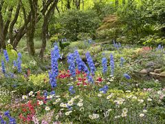 -上海共青森林公园