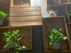 -比格比萨自助(花园路店)