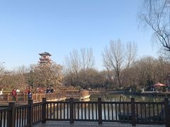 -宝鸡植物园
