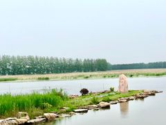 -微山湖红荷湿地景区