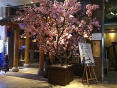-济州岛汤泉(广宜店)