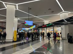 -谢列梅捷沃国际机场