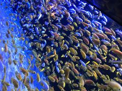 -成都浩海立方海洋公园