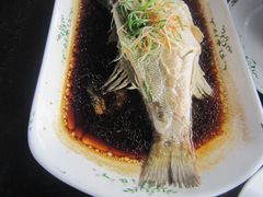 -云中小雅