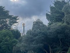 -墨尔本皇家植物园