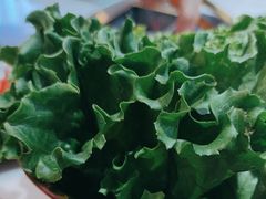 -杨记齐齐哈尔烤肉(总店)