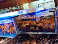 -同庆楼(天鹅酒家店)