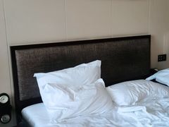 -大同云冈美高大酒店