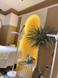 -好看加白色房子