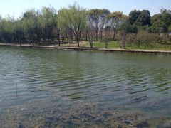 iphone_upload_pic-新江湾城公园