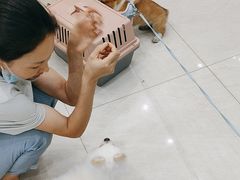 -乐琪宠物医院·犬猫专科·骨外科·急重症