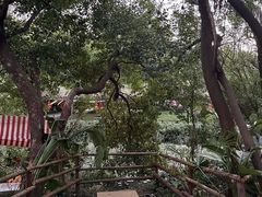 -白马涧龙池景区
